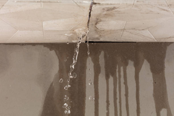 Professional Structural Drying technician working in Commercial Point, OH
